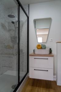 LempdesCasa Ragazzi - Refait à neuf - Calme - Parking的带淋浴、水槽和镜子的浴室