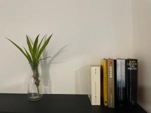 萨尔布吕肯Music Residence的书架,花瓶,书架和植物