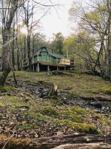 巴茅思Tree Top Cabin with log burner & private hot tub的森林中间的绿色房子