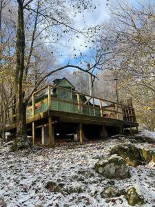 巴茅思Tree Top Cabin with log burner & private hot tub的树林里的树屋,地上有雪