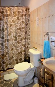 阿拉胡埃拉Guesthouse Casa Lapa2的一间带卫生间和淋浴帘的浴室