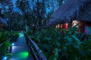 Tlatizapán恰帕斯塞尔瓦拉坎多纳拉斯瓜卡马亚斯山林小屋的一条在夜间通往带绿灯的度假胜地的路径