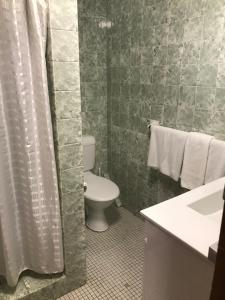 卧龙岗市区汽车旅馆的一间带卫生间和淋浴帘的浴室