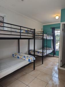 麦夸里港奥齐波茨背包客 - 麦觉理港国际青年旅舍的客房设有三张双层床和一扇窗户。