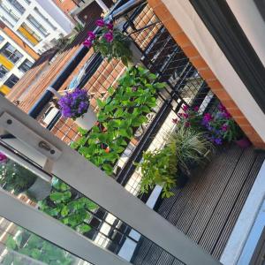 伯明翰Luxury 9ine SUPER BEAUTIFUL JACUZZI APARTMENT WITH BALCONY的阳台种有植物和花卉