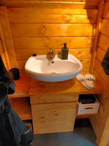 DoezumSterrenzicht的木制客房内的带水槽的浴室