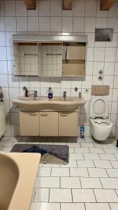 ErbachMonteurzimmer Ringingen的一间带水槽和卫生间的浴室