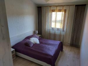 Straupe布尔塔卡斯休闲中心假日公园的一间卧室配有一张紫色的床,上面放着一只猫