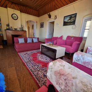 科塔吉里Zeus Bungalow的客厅配有粉红色的沙发和桌子