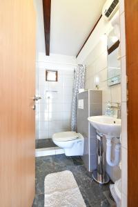 拉科维察Guest House Family Dukić的一间带卫生间和水槽的浴室