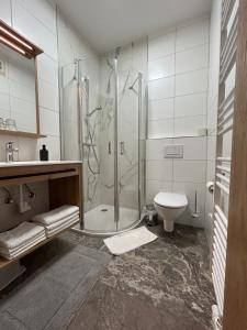 圣卡瑟林阿哈Gasthof zur Post的带淋浴和卫生间的浴室