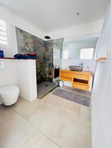 圣吕斯Villa Amaryllis luxueuse,piscine,vue mer,plage的带淋浴、卫生间和盥洗盆的浴室
