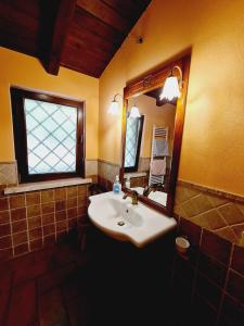 内米勒格洛特农家乐的一间带水槽和镜子的浴室以及窗户。