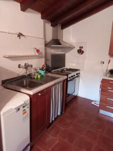 博纳索拉Soledad的厨房配有水槽和炉灶