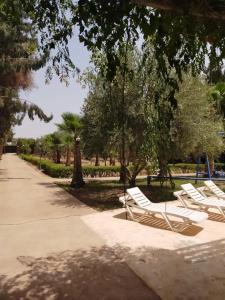 马拉喀什la Paysanne by Souna的公园里一排白色的躺椅