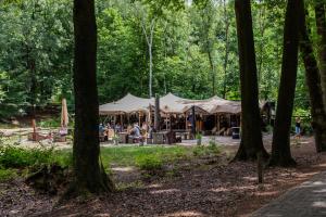 费尔普Buitenplaats Beekhuizen的公园中间的帐篷,树木繁茂