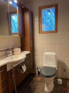 HollolaVilla Joutsen的一间带卫生间、水槽和窗户的浴室