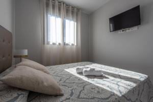 EsteponaApartamento Estepona I的一间卧室配有一张带两个枕头的床和电视。
