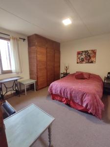 洛斯佩妮滕特斯Departamento Penitentes Mendoza的一间卧室配有一张床和一张桌子