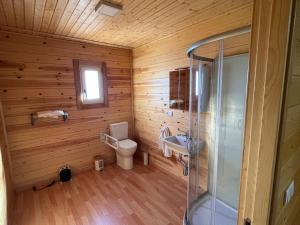 MarjalizaLa Dehesa Boyal II的木制浴室设有卫生间和淋浴。