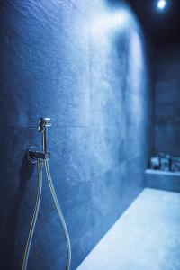 瓦尔道拉ROUDA luxury retreat am Kronplatz的带淋浴的浴室,拥有蓝色的墙壁