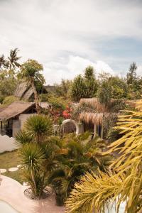 吉利阿尔La Isla Bonita Gili Air的种有棕榈树和植物的热带花园