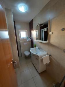 沃迪切Guest House As的一间带水槽、卫生间和镜子的浴室
