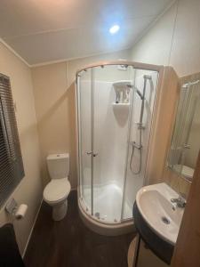 哈特尔普尔Beautiful 2-Bedroom Lodge with Spectacular Views的带淋浴、卫生间和盥洗盆的浴室