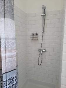 布鲁塞尔Brussels Bed & Blockchain Private rooms with shared bathroom的带淋浴和浴帘的浴室