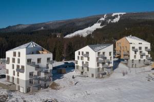 道尼库宾Bird's eye view, Hillside的空中在雪中看到三座建筑物