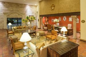 萨尔蒂约群塔里尔萨尔蒂罗酒店的带沙发和壁炉的客厅