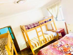库斯科Ukumari Hostel的一间卧室设有两张双层床和一扇窗户。