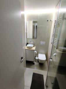 埃斯托利尔Elite House Estoril的一间带水槽、卫生间和镜子的浴室
