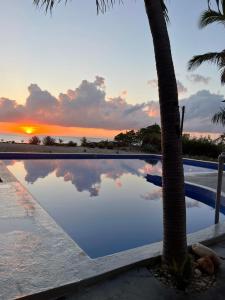 巴拉奥纳省圣克鲁斯Hotel Al Mare的棕榈树和日落的游泳池