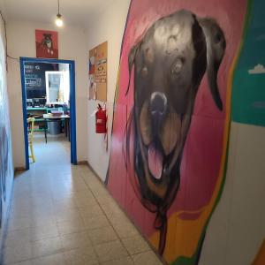 门多萨rafa's house的挂在墙上的狗画