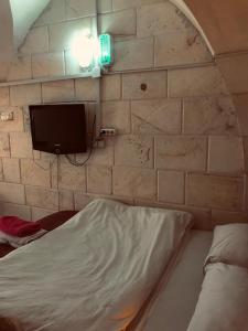 尚勒乌尔法Alkan konuk evi的一间设有床铺和砖墙电视的房间