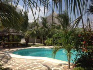 瓦塔穆Luxury Simba House in Watamu [ ☆☆☆☆☆ ]的棕榈树度假村前的游泳池