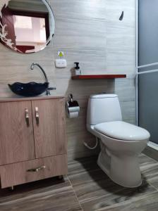 比利亚加松Hotel Campo Verde的一间带卫生间、水槽和镜子的浴室