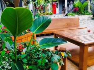 圣伊西德罗Casa Los Madriz Suite #2的木凳,坐在一束植物旁边