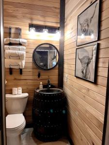 劳伦斯堡Bourbon Barrel Cottages #2 of 5 on Kentucky trail的浴室设有卫生间、镜子和水槽