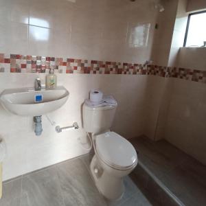 索加莫索Cabaña Campestre - Ciudad Memoria的一间带卫生间和水槽的浴室