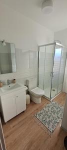 丰沙尔Chalé Funchal - City view的一间带卫生间、水槽和镜子的浴室