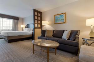 彭延葡萄园贝斯特韦斯特PLUS酒店 的酒店客房设有一张沙发和一张床