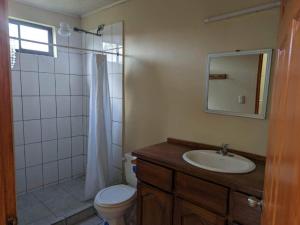 福尔图纳Apartamento Los Delfines的浴室配有卫生间、盥洗盆和淋浴。