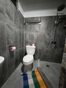 波拉波拉Bora Bora Hiva Home的一间带卫生间和淋浴的浴室