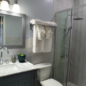 拿骚Ocean Breeze Villa 242的带淋浴、卫生间和盥洗盆的浴室