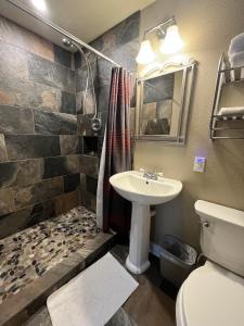 埃斯蒂斯帕克Mt Olympus Cabin, Cozy 1 bedroom cabin Great for couples的一间带水槽、卫生间和淋浴的浴室
