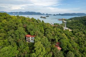 珍南海滩Ambong Rainforest Retreat的森林中央建筑物的空中景观