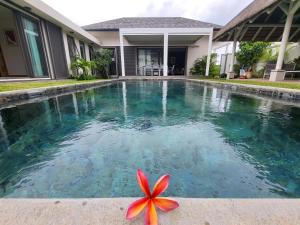 格兰贝伊Villa de Luxe à Grand Baie avec piscine V12的坐在游泳池旁的水中的小海星