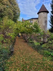 沃勒维克Gites Le Vieux Vinzelles的通往塔楼建筑的拱门